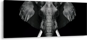 Tablou - Elefant pe fundal negru (120x50 cm)