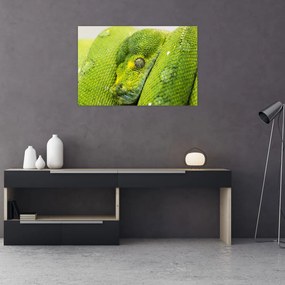 Tablou cu șarpe (90x60 cm)