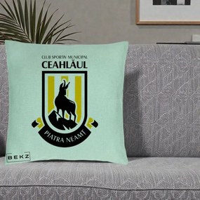 Perna Personalizata CSM Ceahlaul Piatra Neamt Fotbal, 40x40 cm, Verde Menta, Husa Detasabila, Perna Inclusa, BEKZ®
