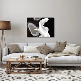 Tablou - laptele de cocos (70x50 cm)