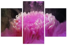 Tablou cu floare în fum roz (90x60 cm)