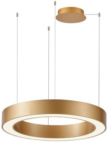 Azzardo AZ5045 - Lustră LED dimabilă pe cablu MARCO LED/50W/230V auriu + + telecomandă