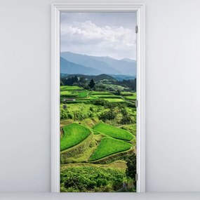 Fototapet pentru ușă - Câmp de orez (95x205cm)
