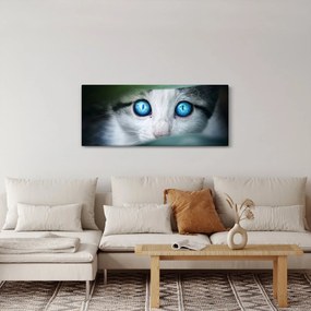 Tablou cu pisica (120x50 cm)
