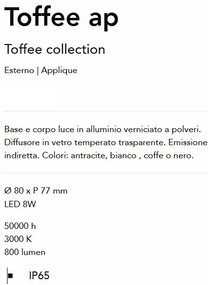 Mini Aplica LED exterior ambientala, Protectie IP65, Toffee ap, Antracit