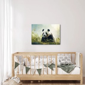 Tablou - Panda (70x50 cm)