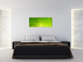 Tabloul cuburilor galbenverzui (120x50 cm)