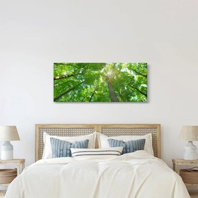 Tablou - Lunca (120x50 cm)