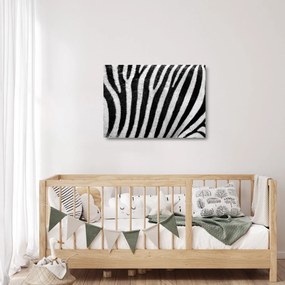 Tablou pe sticlă cu piele de zebră (70x50 cm)