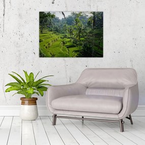 Tablou pe sticlă cu terasele cu orez Tegalalang, Bali (70x50 cm)