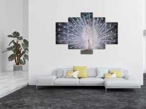 Tablou - Păun alb (150x105 cm)