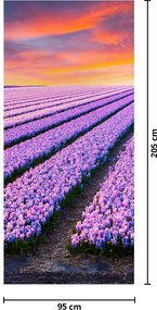 Fototapet pentru ușă - Fermă de flori (95x205cm)