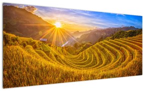 Tablou - Terasele de orez din Vietnam (120x50 cm)