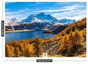 Fototapet Lacul din Alpii