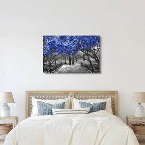 Tablou - Copaci albaștri Central Park, New York (90x60 cm)
