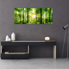 Tablou - Răsărit în pădure (120x50 cm)