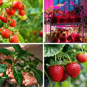 Lampă LED reglabilă cu clemă pentru plante VITARO 4xLED/10W/230V negru