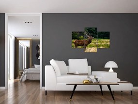 Tablou cu cerb (90x60 cm)