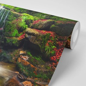 Fototapet autoadeziv cascada în pădure
