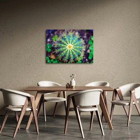Tablou cu cactus (70x50 cm)