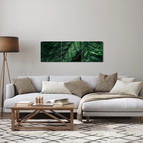 Tablou - Detaliu al foii (cu ceas) (90x30 cm)