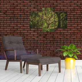 Tablou cu copaci (90x60 cm)