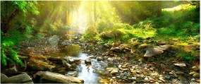 Tablou cu râul în pădurea verde (120x50 cm)