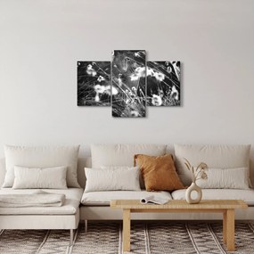 Tablou - Pânza de păianjen în pajiște (90x60 cm)