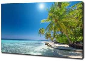 Tablou canvas Plaja maldive