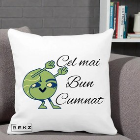 Cadou pentru Cumnat - Perna Personalizata Cel mai Bun Cumnat cu Personaj Funny Verde, 40x40 cm, Alba Mata, Husa Detasabila, Perna Inclusa, BEKZ®