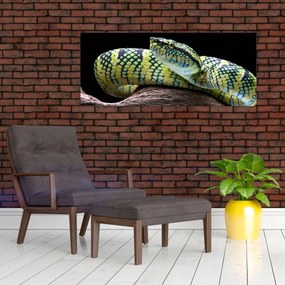 Tablou - Șarpele cu clopoței al lui Wagler (120x50 cm)