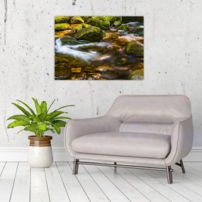 Tablou pe sticlă cu părâu (70x50 cm)