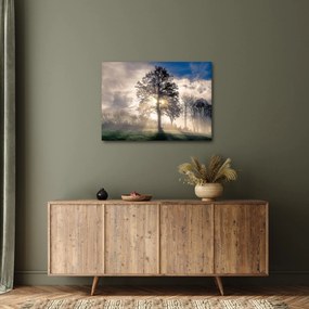 Tablou cu copac în ceață (70x50 cm)