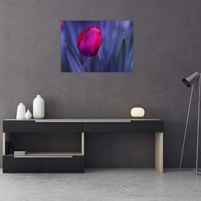 Tablou pe sticlă mugure de lalea (70x50 cm)