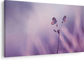 Tablou - Fluturi mov (90x60 cm)