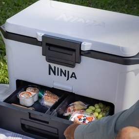 Lada frigorifica Ninja FrostVault FB151EUWH, 47 l, Pasiva, 80 doze, Pastreaza gheata pana la 6 zile, Compartiment uscat, Alba