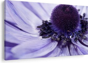 Tablou - Floare mov (90x60 cm)