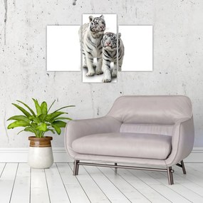 Tablou - Tigrul alb (90x60 cm)