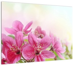 Tablou - Flori roz (70x50 cm)