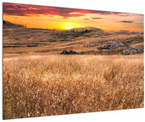 Tablou cu câmp (90x60 cm)