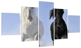 Tablou cu cai (125x70 cm), în 40 de alte dimensiuni noi
