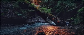 Tablou cu râu montan (120x50 cm)