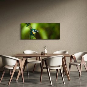 Tablou cu păun (120x50 cm)
