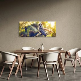 Tablou - Bufniță în copac (120x50 cm)