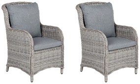 Set scaune 2 buc. Cascad (gri). 1011520