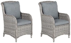 Set scaune 2 buc. Cascad (gri). 1011520