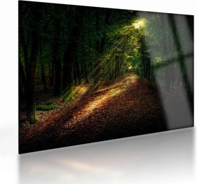 Tablou pe sticlă cu poteca prin pădure (70x50 cm)