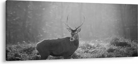 Tablou - Căprioare in pădure,alb-negru (120x50 cm)