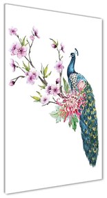 Fotografie imprimată pe sticlă Peacock și flori