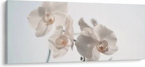 Tablou cu orhidee albă (120x50 cm)